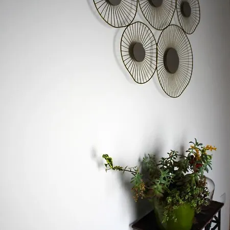 Casa Da Carrasqueira Soajo